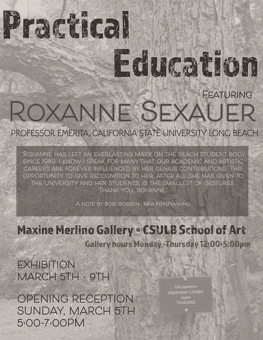 Poster Image - Practical Education Featuring Roxanne Sexauer Professor Emerita, California State University Long Beach