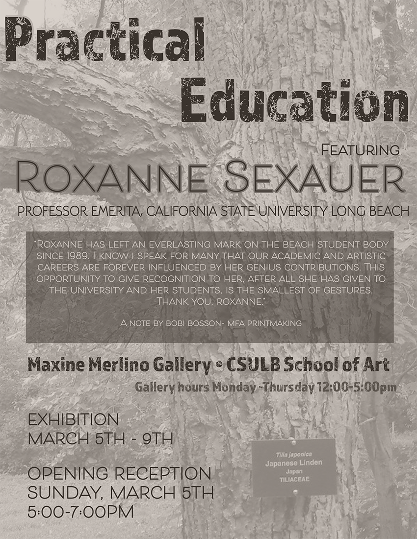 Practical Education Featuring Roxanne Sexauer Professor Emerita, California State University Long Beach Poster Image - Practical Education Featuring Roxanne Sexauer Professor Emerita, California State University Long Beach