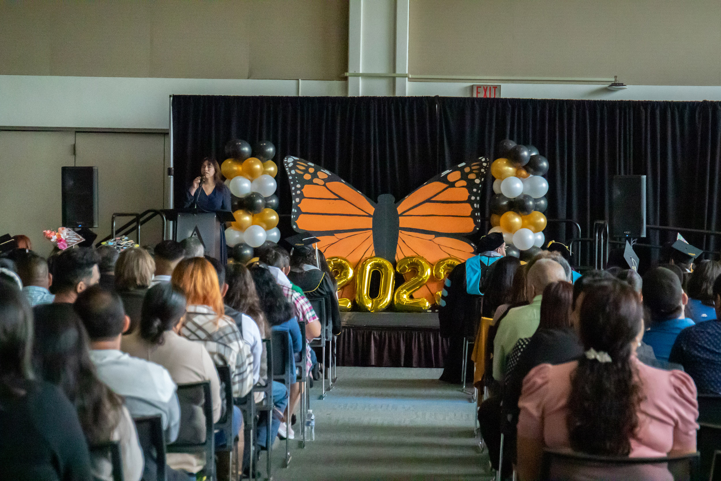 Butterfly poster on stage