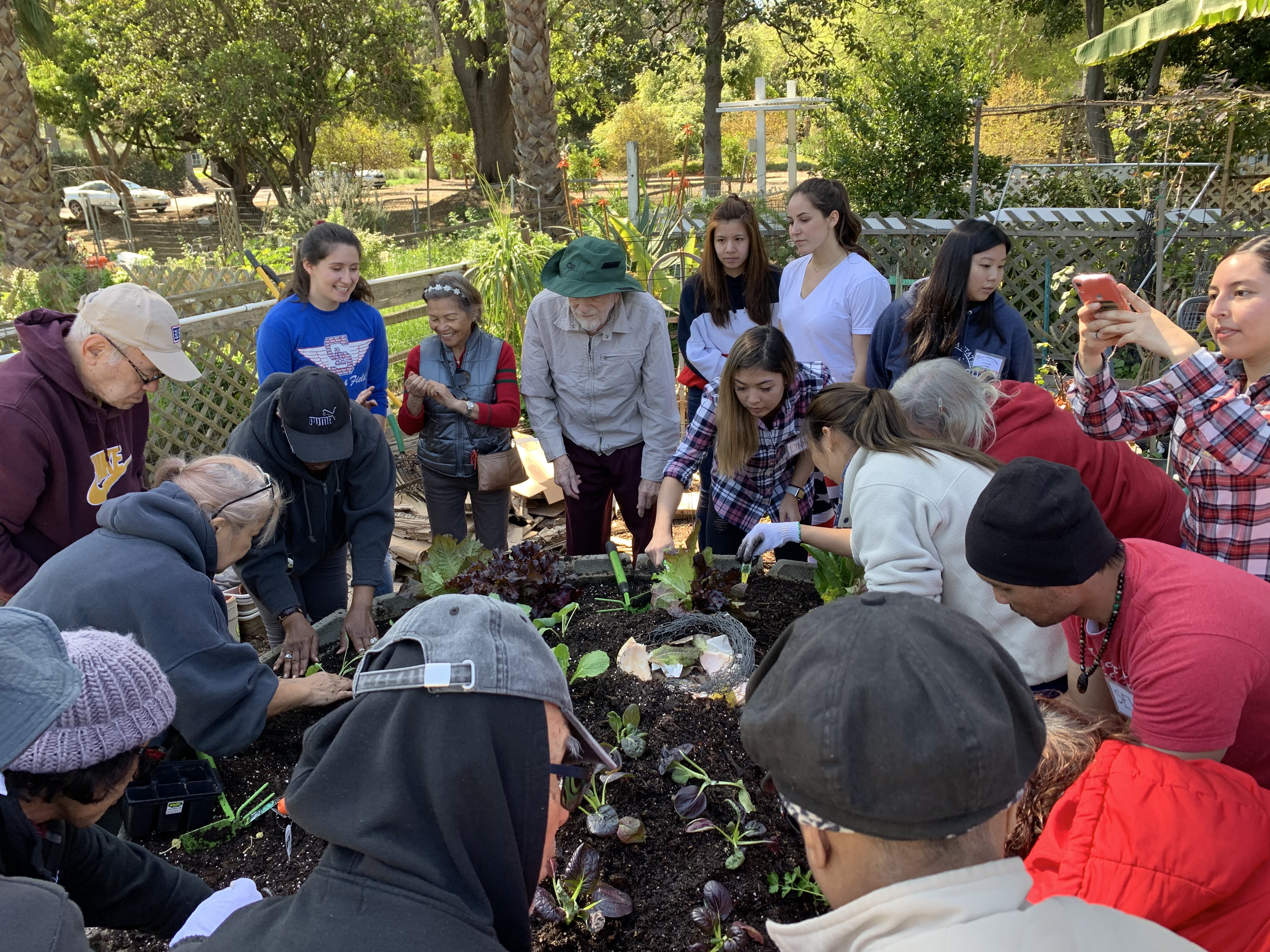 Center for Successful Aging Gardening Clas