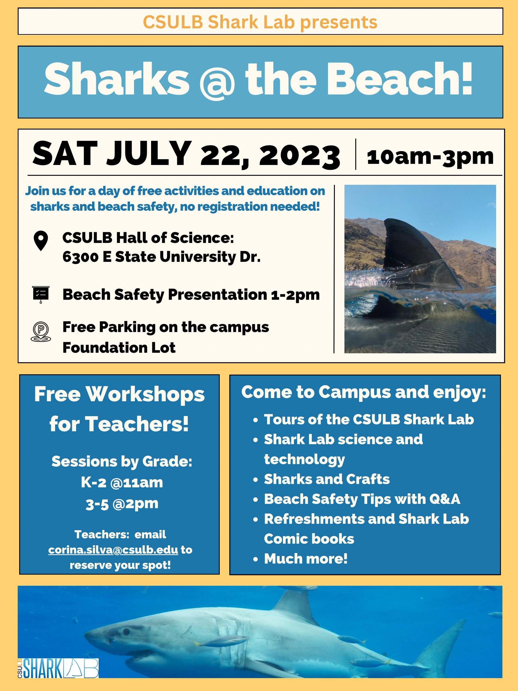 Sharks @ the beach flyer Sharks @ the beach