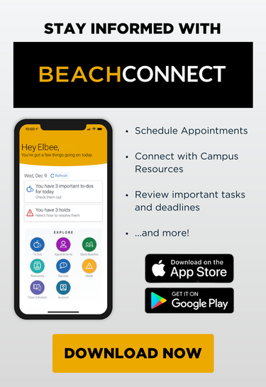 Beach Connect App Flyer