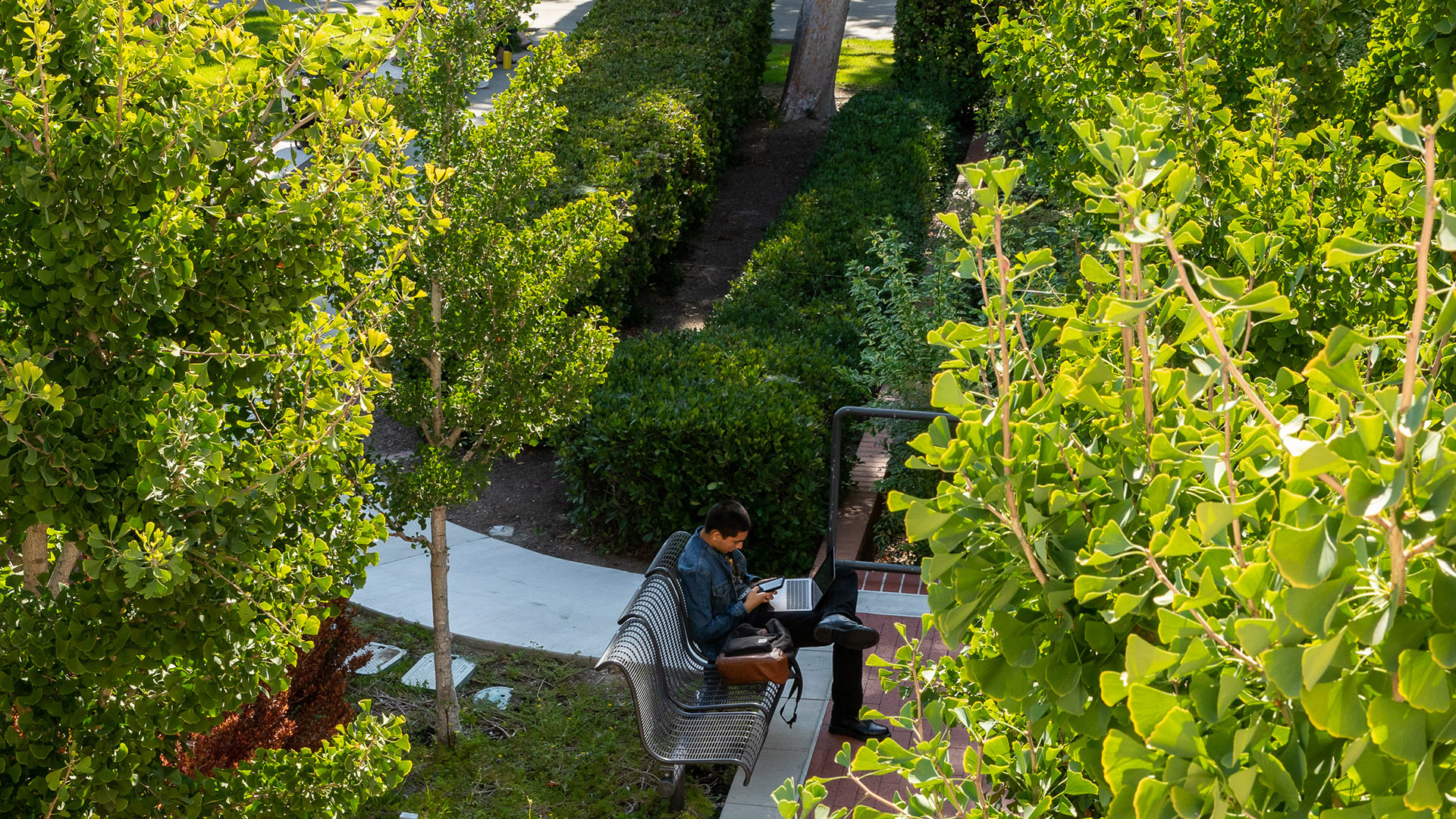 Outdoor campus photo