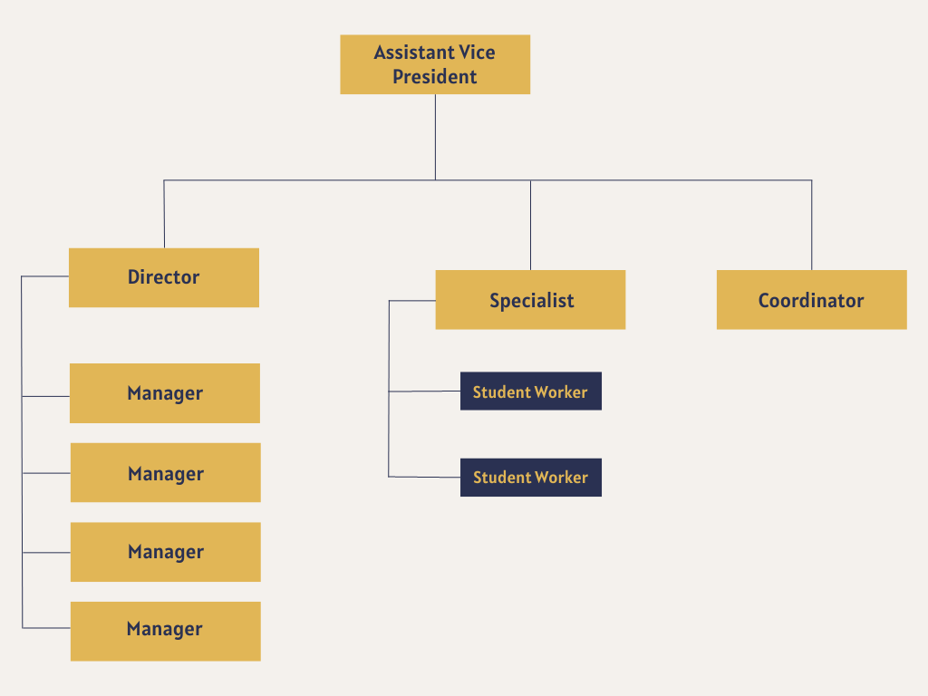 OEC Staff Chart Office of Equity & Compliance Staff Chart