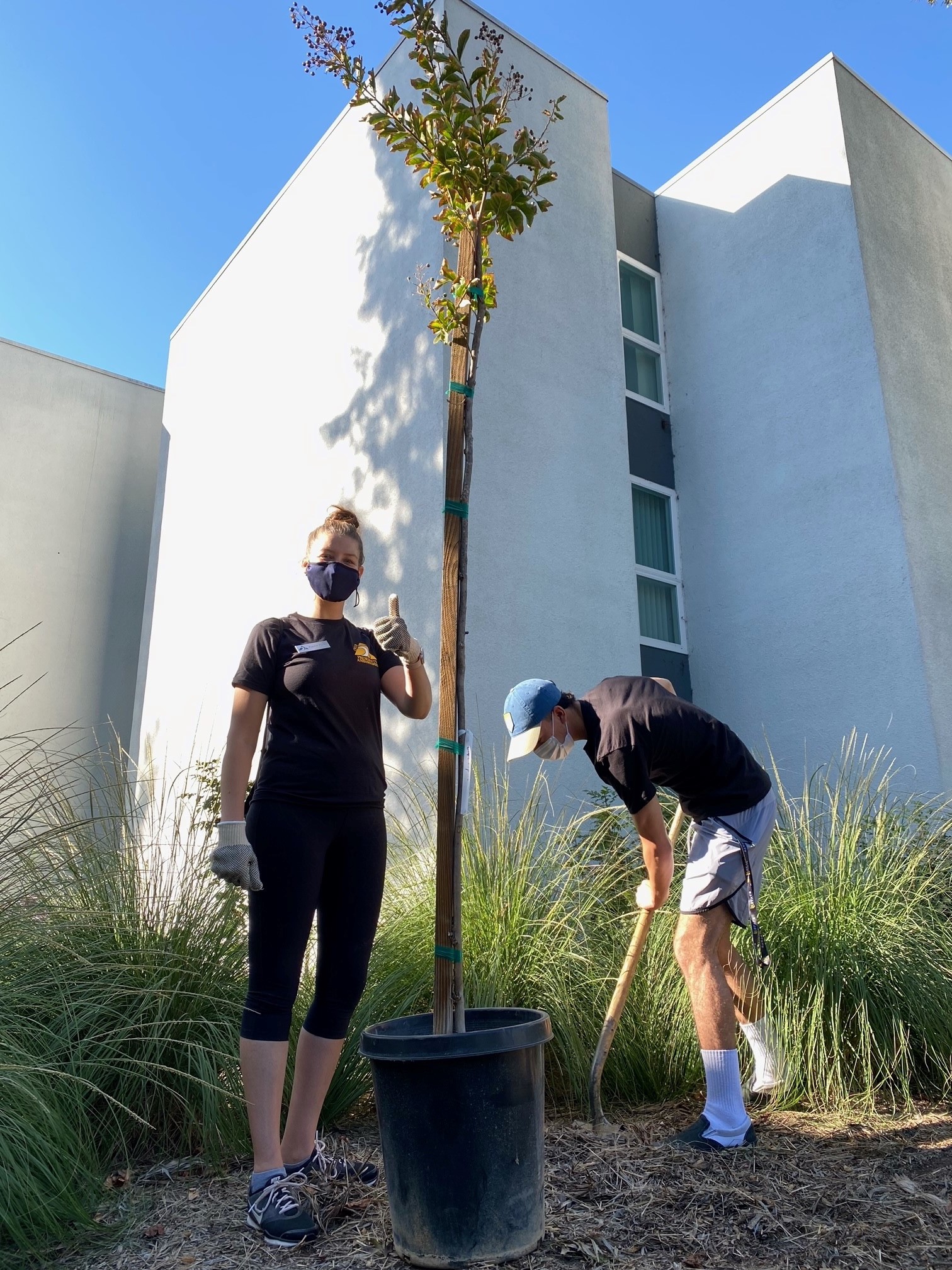 Two Presidents Ambassadors planting a tree #2 