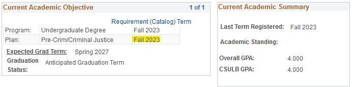 Screenshot of pre-major requirements catalog term