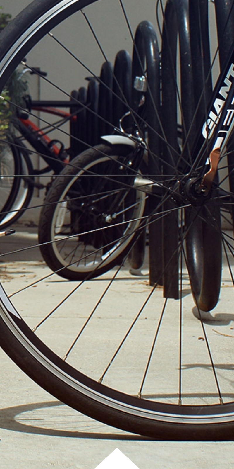 Bicycles are locked up to a bike rack. 