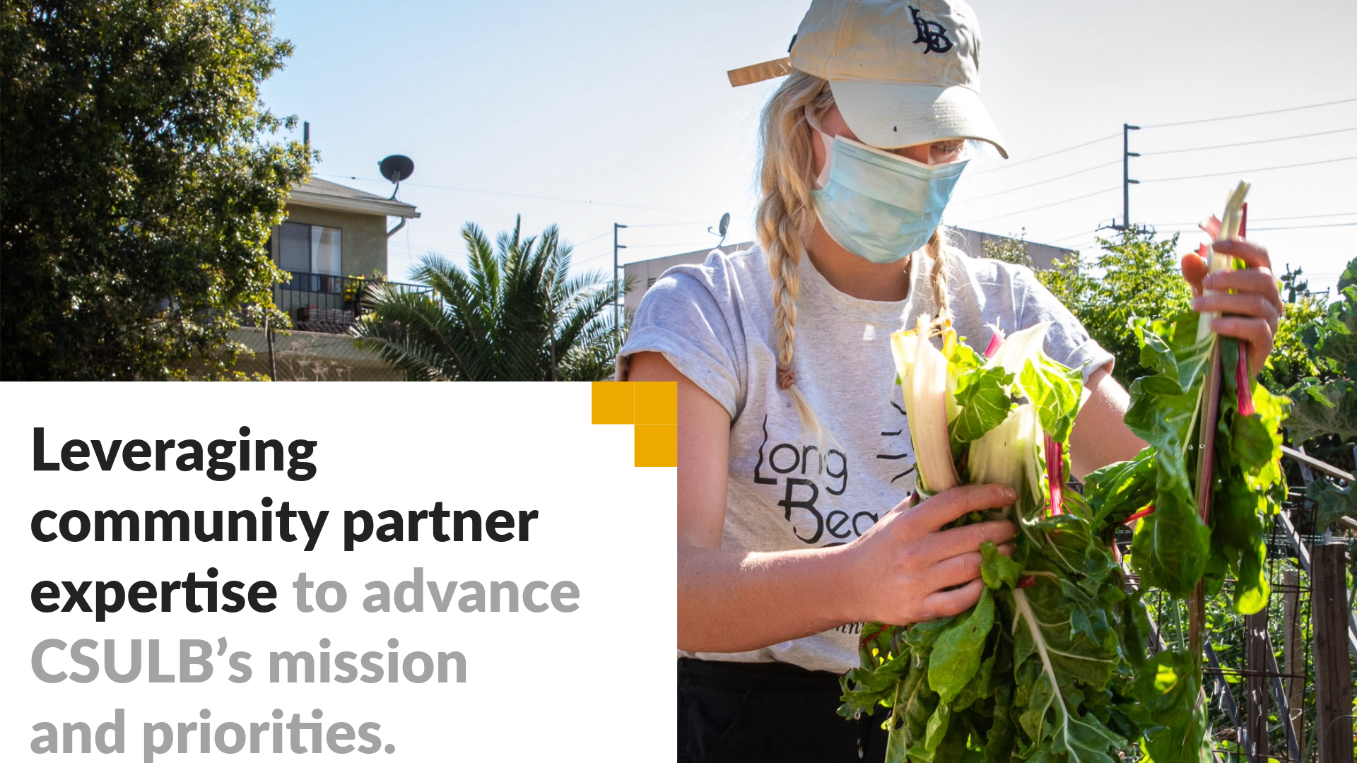 Leveraging community partner expertise to advance CSULB's mission. A woman works in a garden as part of an internship.
