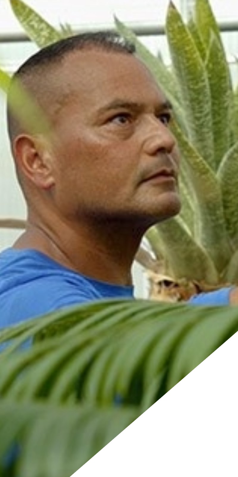 Botanical Curator and Botany Technician Brian Thorson stands among lush plants. 