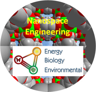 Nanospace Engineering - Energy, Biology, Environmental