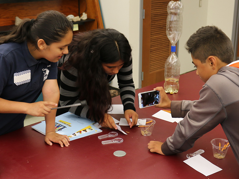 young learners observing a mealworm