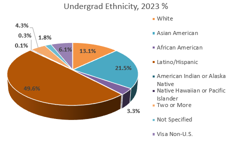 UGrad Ethnicity 2023 CSULB COB Demographics pie chart  - data table provided