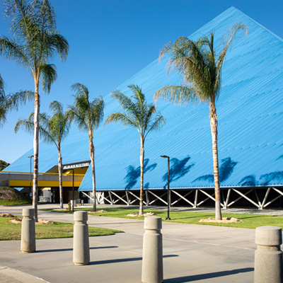 Walter Pyramid behind greenery