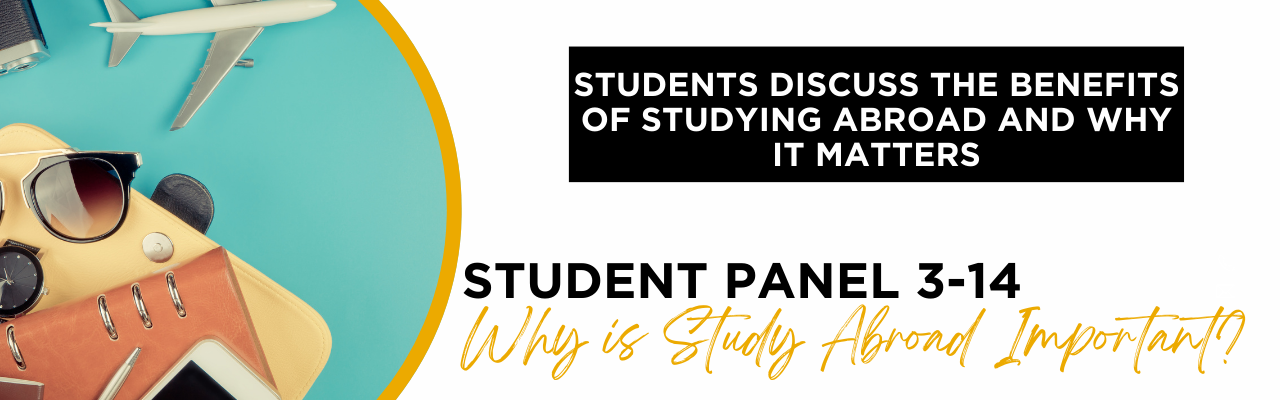 Why is Study Abroad Important? Panel