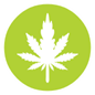 Cannabis-e-Checkup