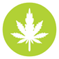 e-Checkup online assessment Cannabis-e-Checkup