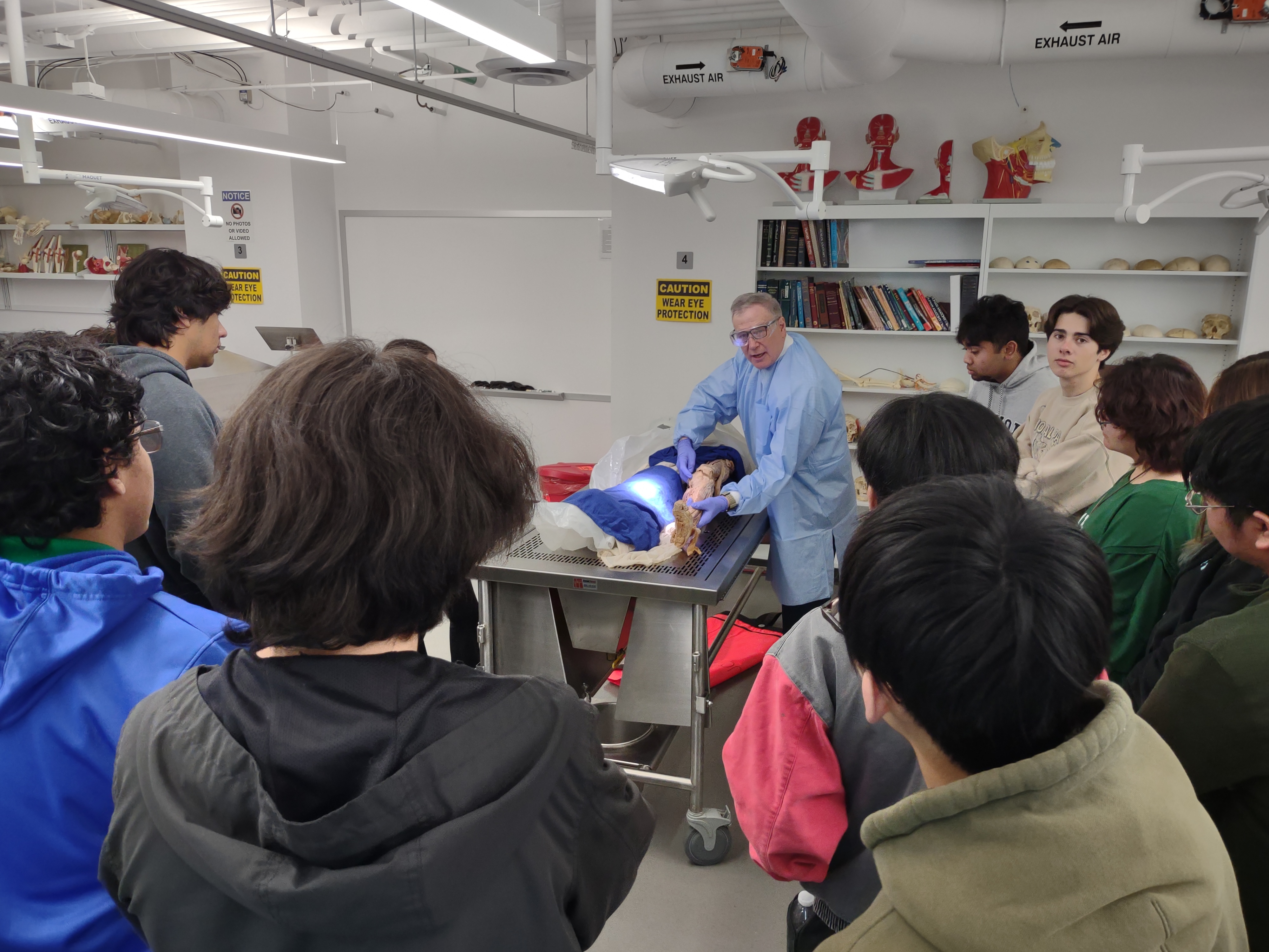 Students in anatomy lab