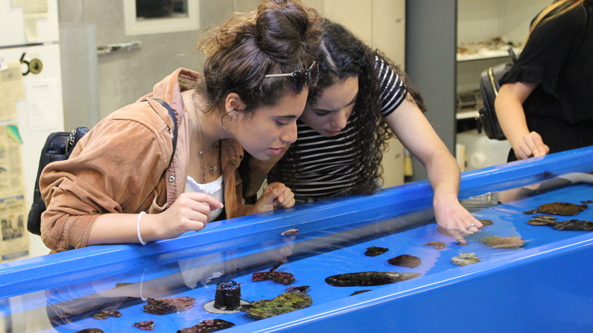 marine lab touch tanks