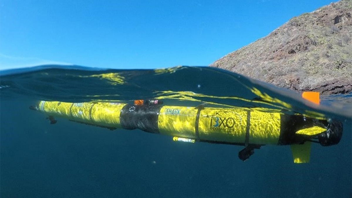 Shark Lab autonomous underwater vehicle