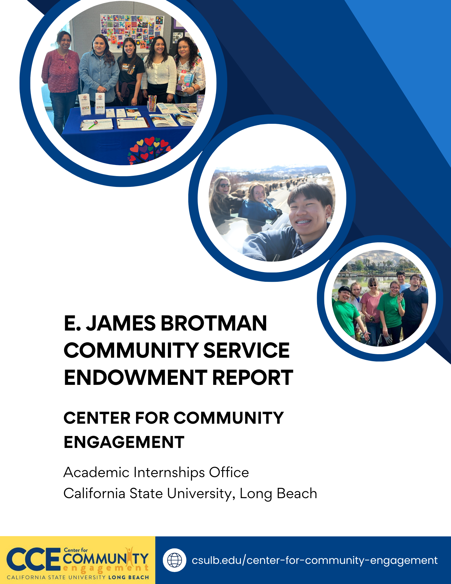 E. James Brotman Community service endowment report cover