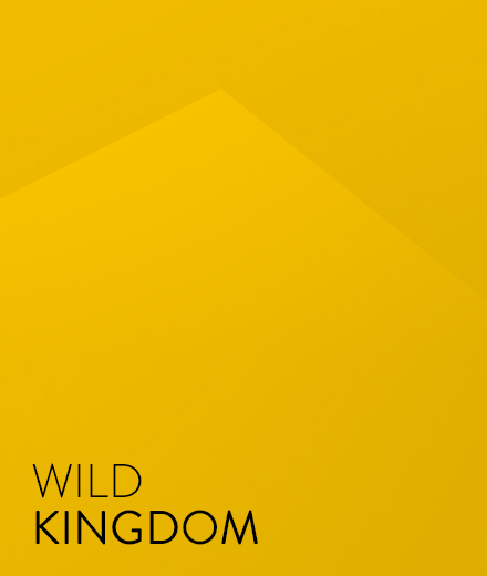 Wild Kingdom
