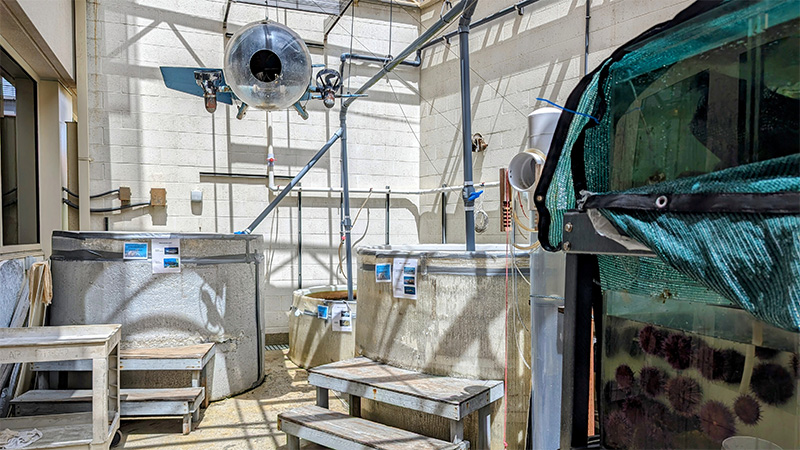 Shark Lab facilities and tanks