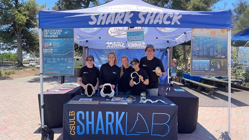 Shark Lab staff in the Shark Shack
