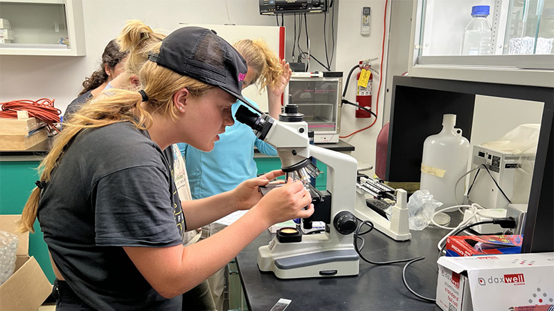 person examining a slide through a microscope