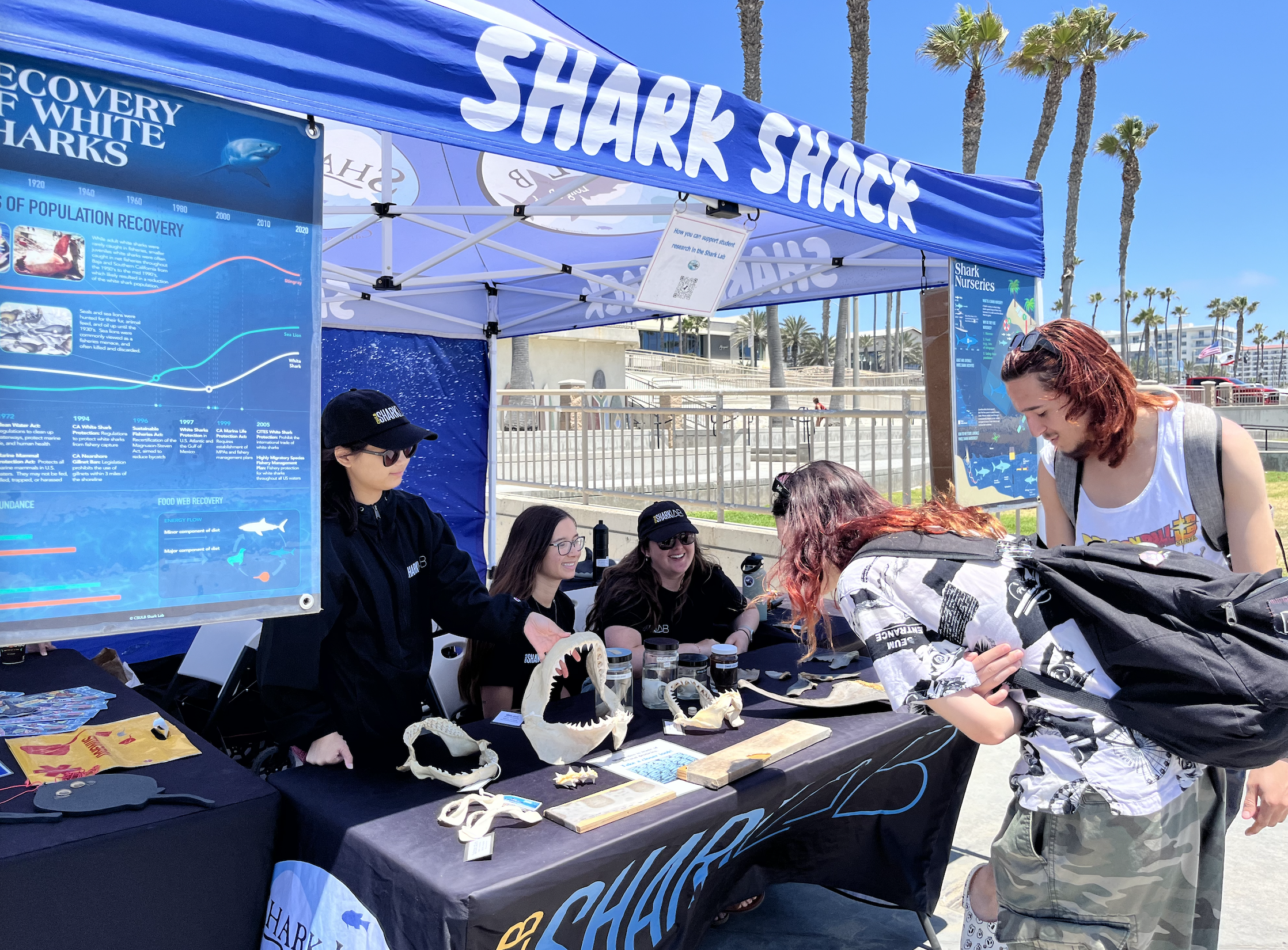Shark Shack