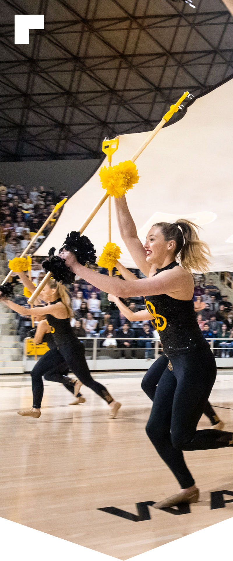 Cheering students