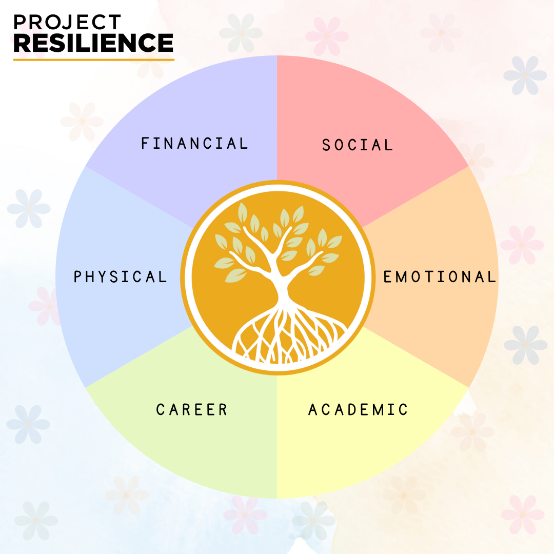 Wellness Wheel Wellness Wheel