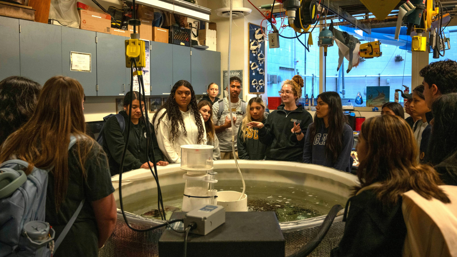 Shark Lab - Beach XP Students stand around tank in the Shark Lab at CSULB.