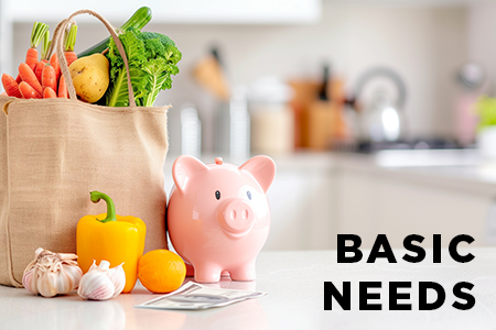 Basic Needs
