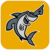 Elbee the shark with gold background