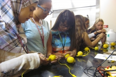 interns doing engineering activity