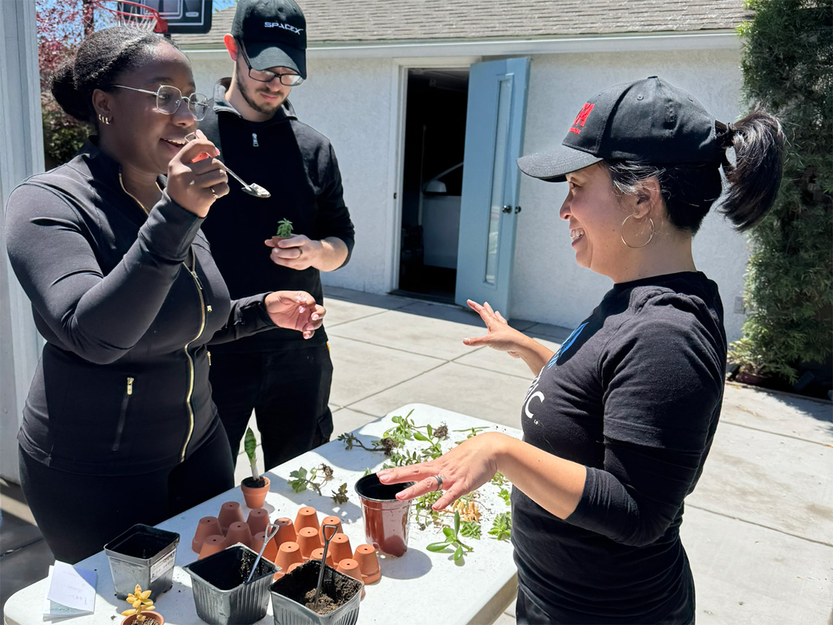 potting activity