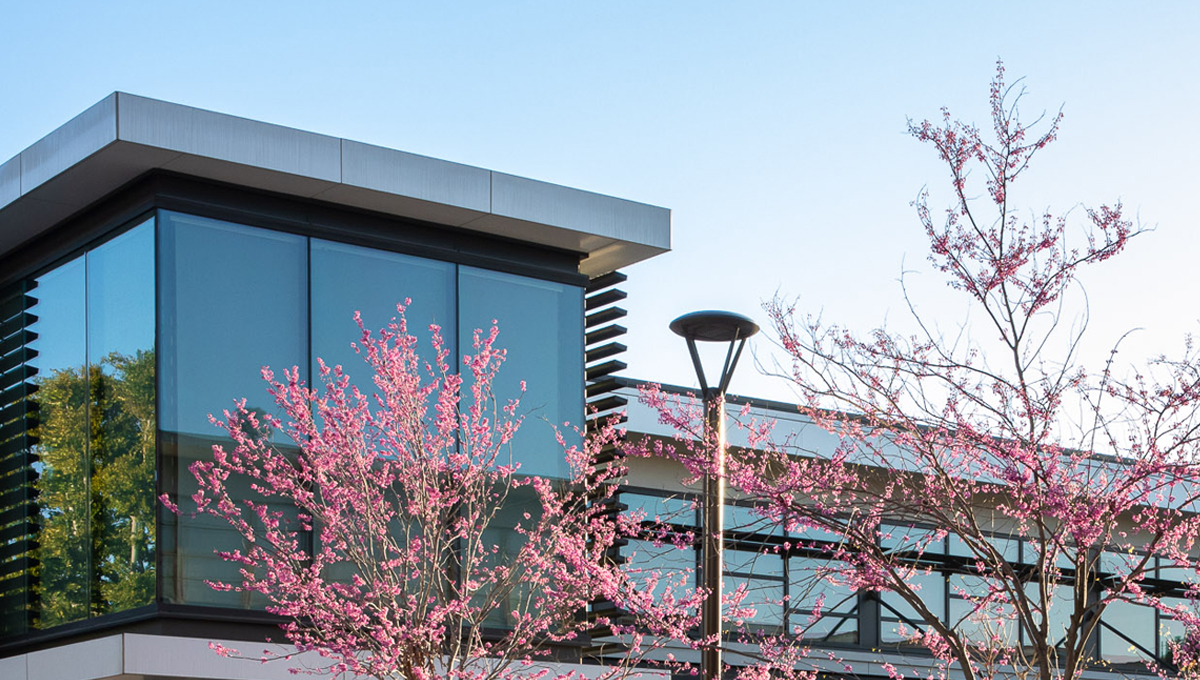 College of Liberal Arts Building Photograph of Liberal Arts Building