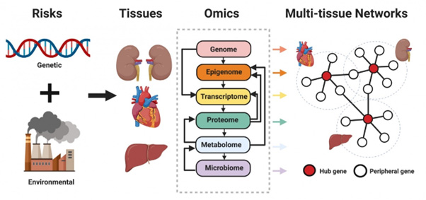 diseases and gene networks