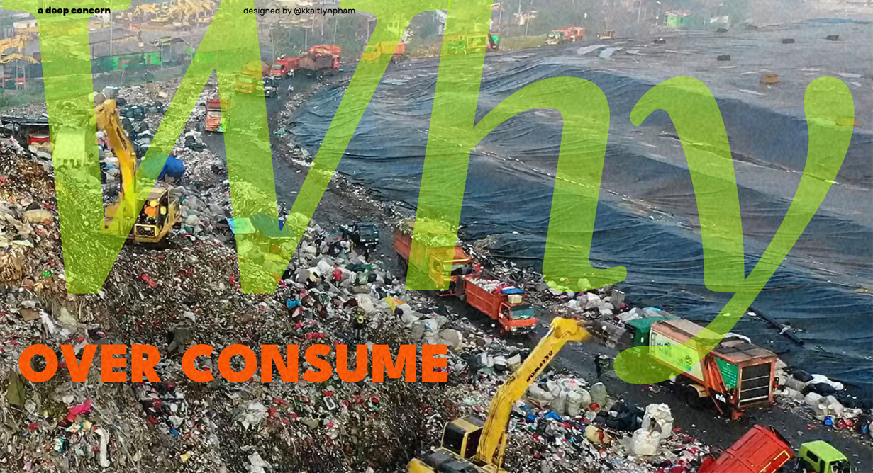 image of why overconsume webpage