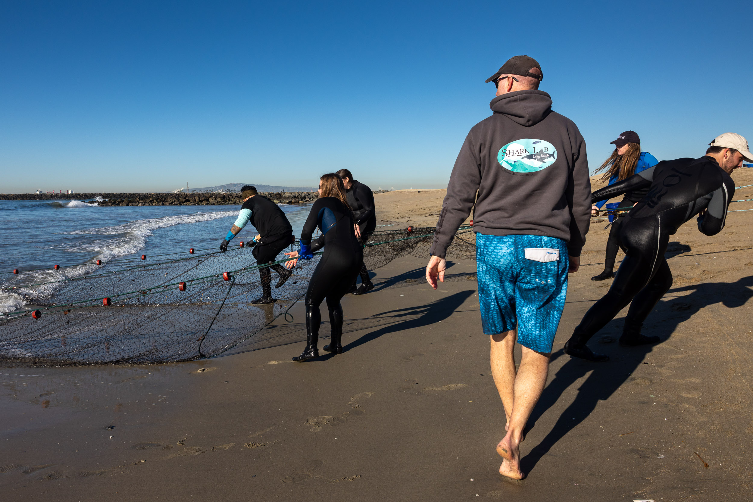 Students pull beach seine out of ocean