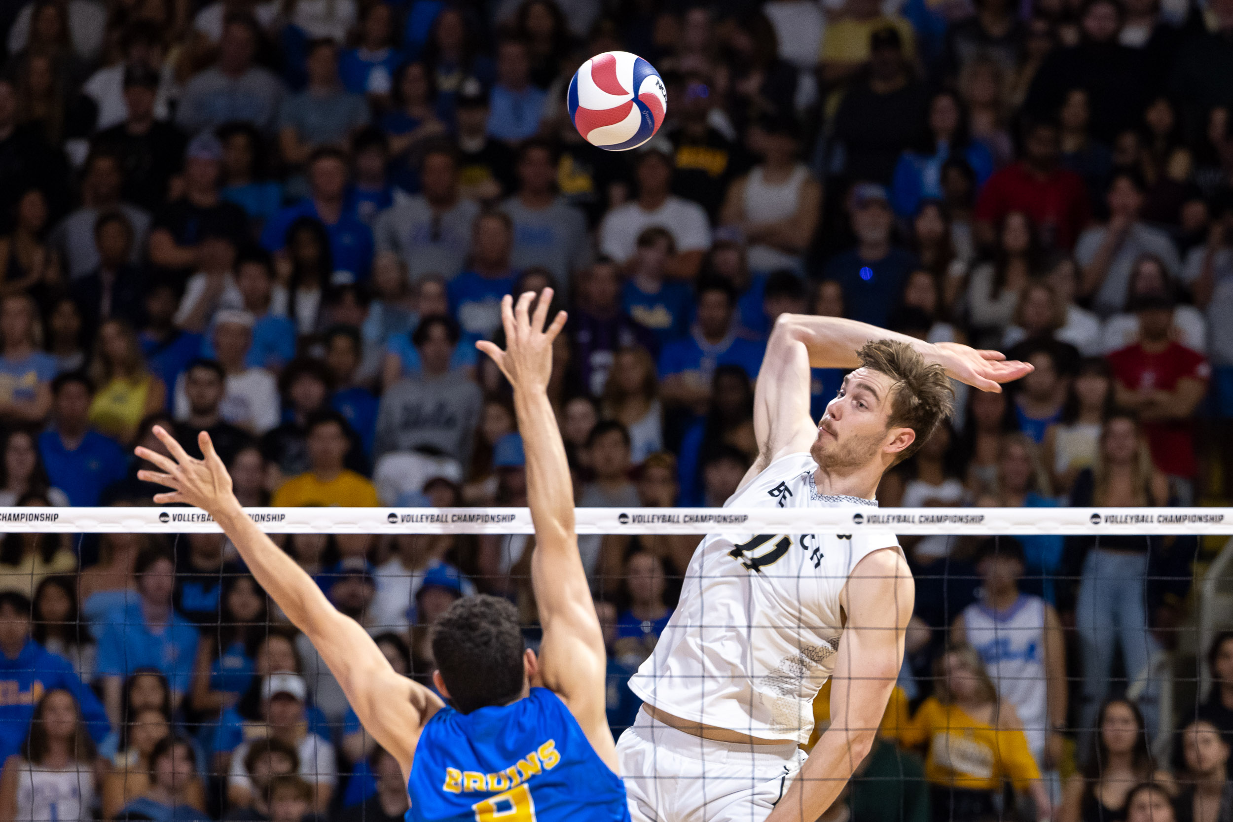 CSULB volleyball player readies to spike ball