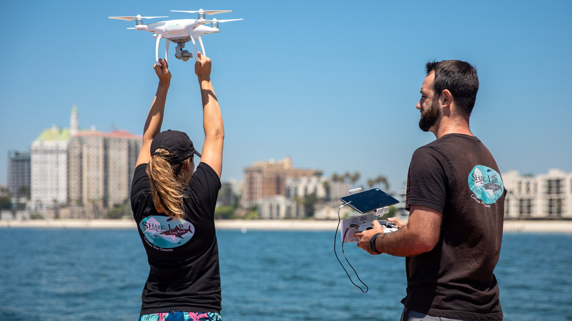 CSULB Shark Lab students launching drone at Long Beach Two people from the CSULB Shark Lab prepare a drone for flight near the Long Beach shoreline