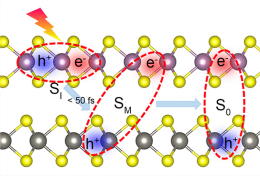exciton dynamics