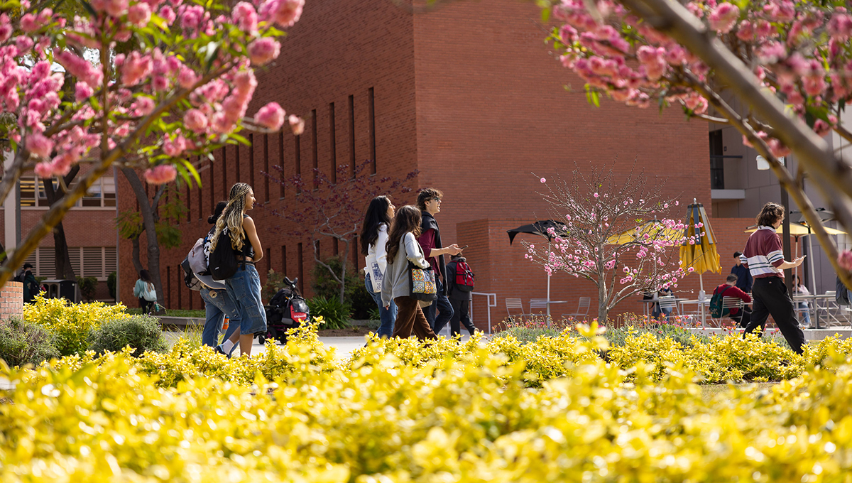 Students walk to class
