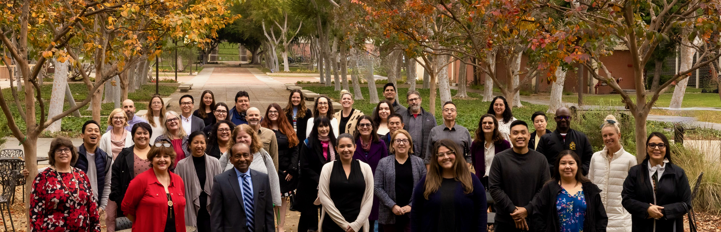 Data Fellows