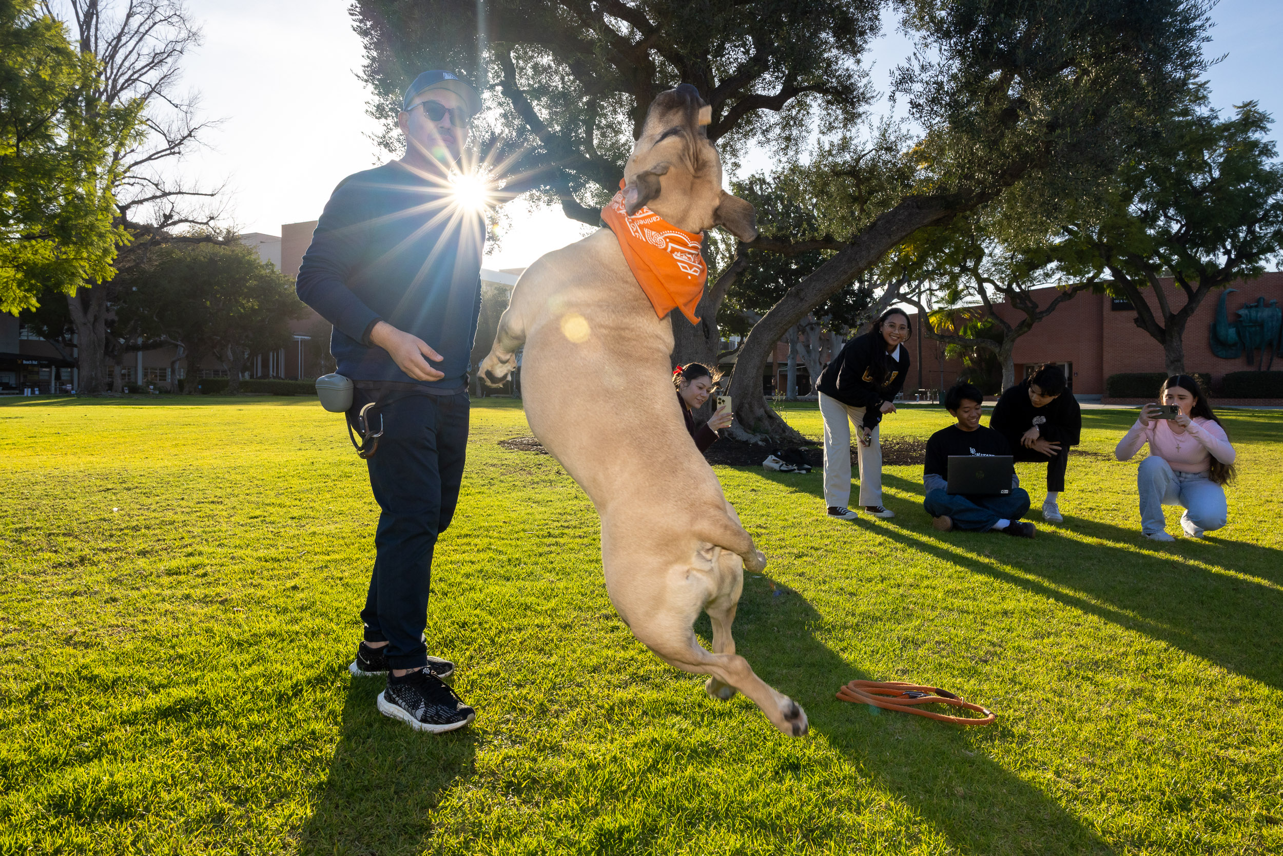 A dog leaps in the air while students take pictures on their phones