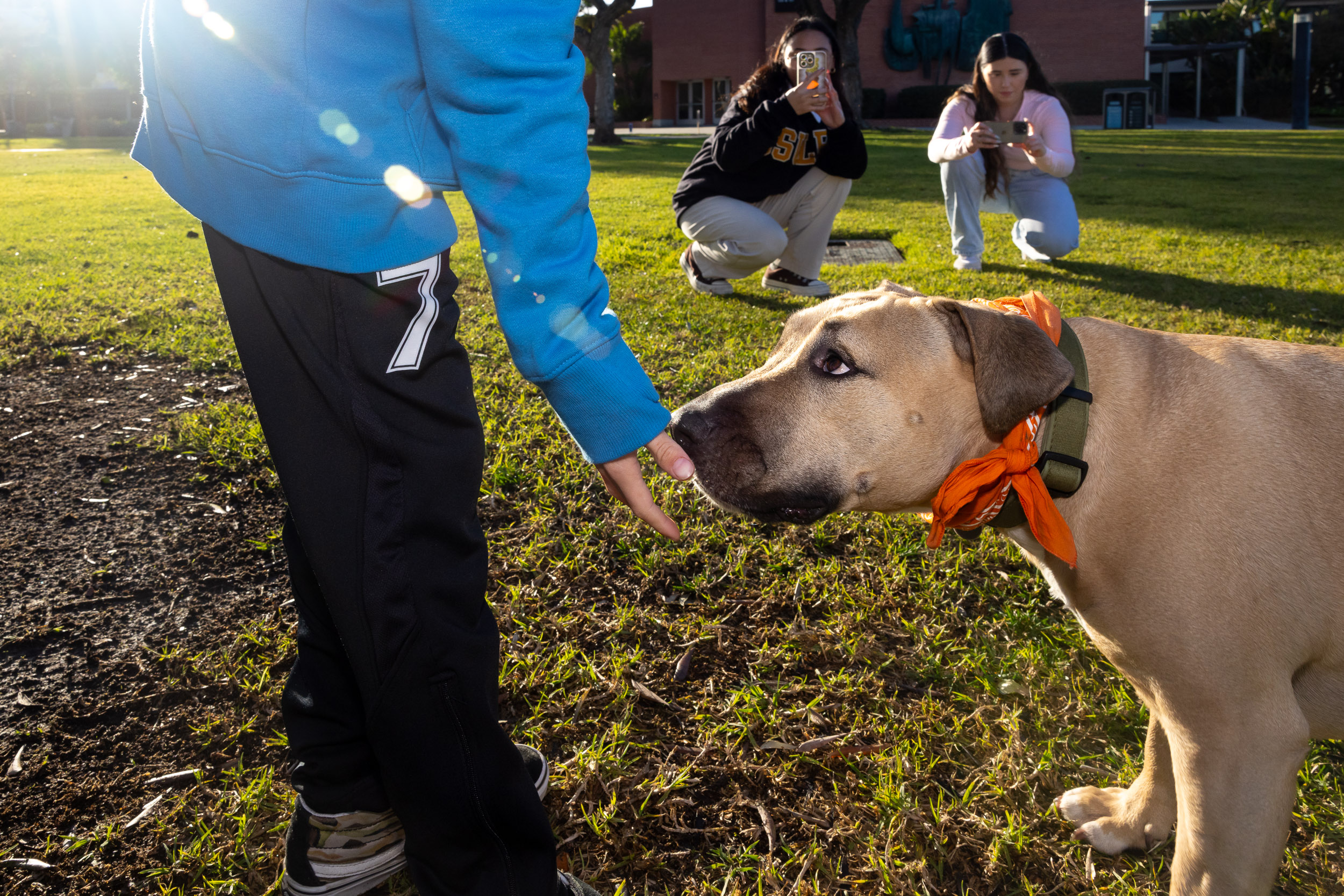 A dog sniffs the hand of a person while two people crouch in the background taking pictures