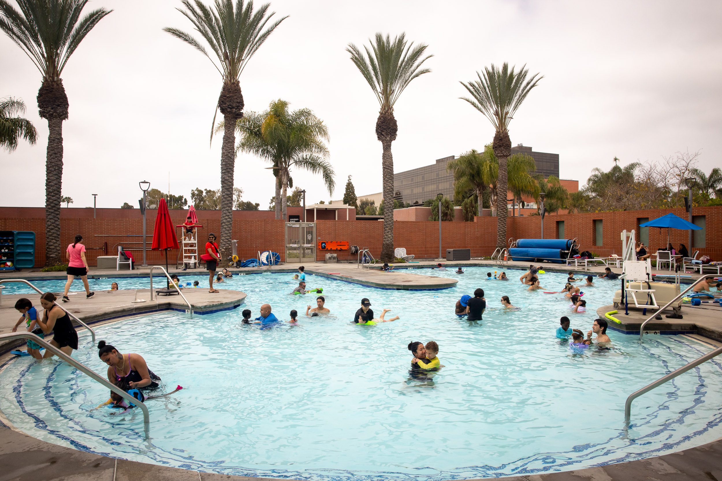 Dozens of people swim and play in an outdoor pool surrounded by palm trees