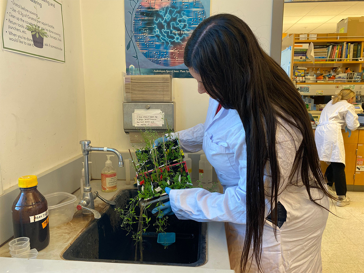 Kristen in the lab