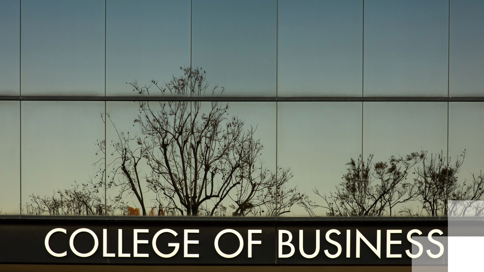 College of Business College of Business